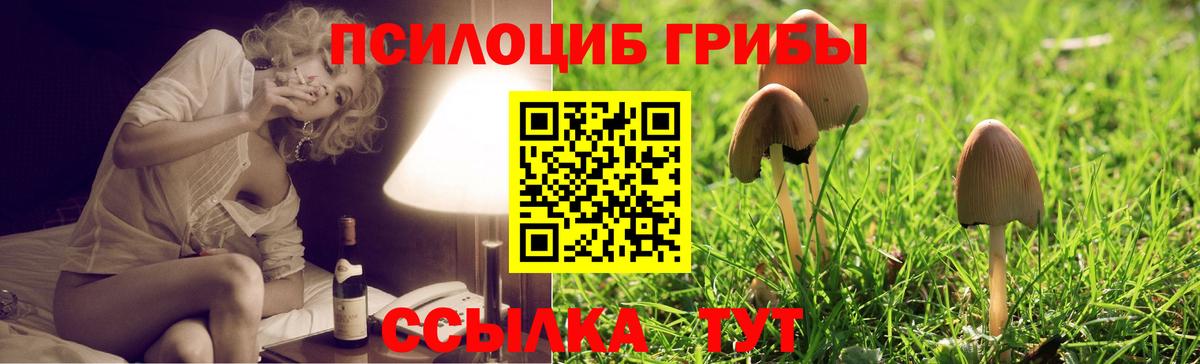 Псилоцибиновые грибы MAGIC MUSHROOMS Псков